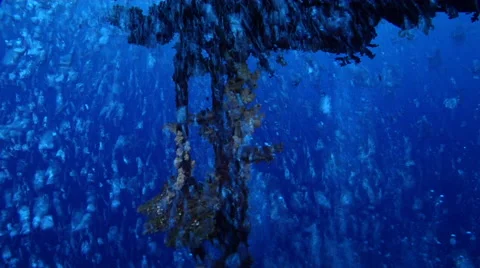 Ocean scenery lots of bubbles coming up vertical wreck, on wreckage, HD, UP27749 Stock Footage 62219825