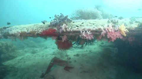 Ocean scenery moving along wing, WWII, World War 2 plane wreck, on silty inshore Stock Footage