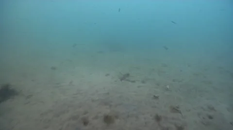 Ocean scenery ray explodes early on, on river mouth rock wall, HD, UP32400 Stock Footage 61910612