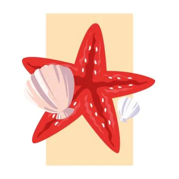 Ocean sea star and shell design Illustrazione stock