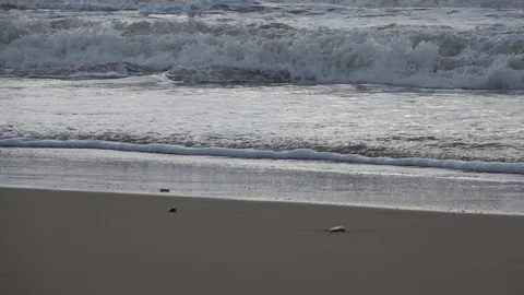 Ocean Sea Waves On The Beach Stock Footage 100039360