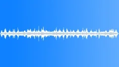 Ocean Sea Waves, Seagull Beach Coast 20Sound Effect