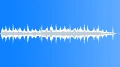 Ocean Sea Waves, Seagull Beach Coast 30Sound Effect