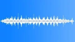 Ocean Sea Waves, Seagull Beach Coast 33 Sound Effect