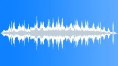 Ocean Sea Waves, Seagull Beach Coast 45 Sound Effect