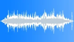 Ocean Sea Waves, Seagull Beach Coast 46 Sound Effect