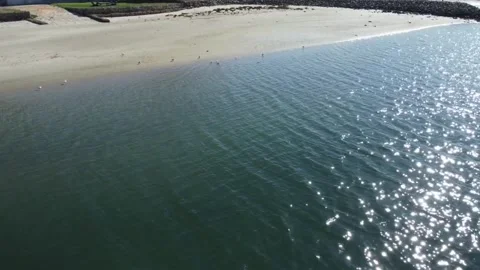 Ocean with Seagulls Video stock 195472078