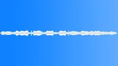 Ocean seagullsSound Effect