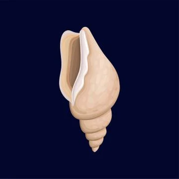 Ocean seashell, an empty shell of a sea mollusk vector Illustration on a dark Illustrazione stock