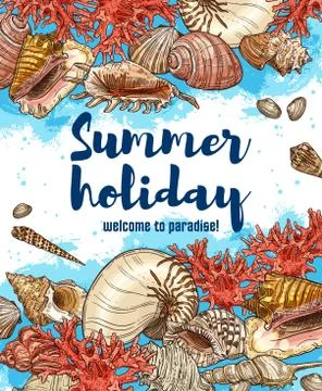 Ocean seashells, welcome to paradise イラスト素材