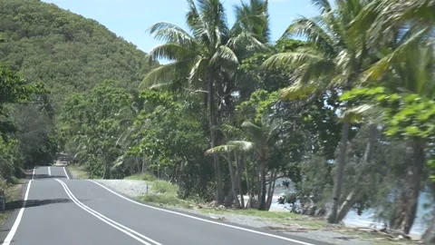 Ocean seen through palm trees from a driving car handheld footage on a sunny day 스톡 동영상 132170307