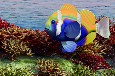 Ocean shallows Stock Illustration