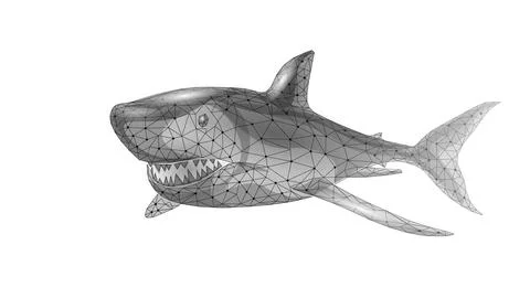 Ocean shark bottom view from below. Open toothy dangerous mouth with many teeth Stock Illustration