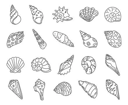 Ocean shell set in outline line art Stock Illustration