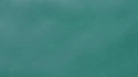 Ocean Shimmer glisten Stock Footage 112306851