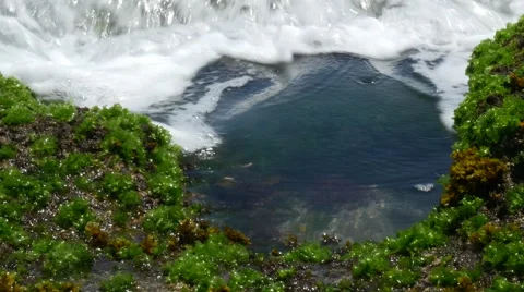 Ocean Shore 4k Stock Footage 44372862