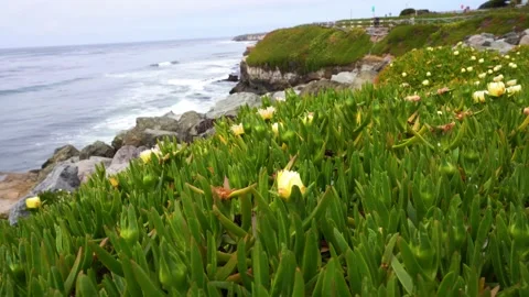 Ocean shore and view of Cape, California Stock Footage 154354603