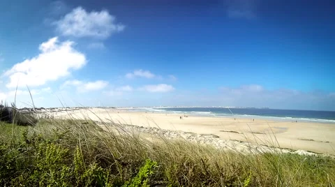 Ocean shore 動画素材 41189618