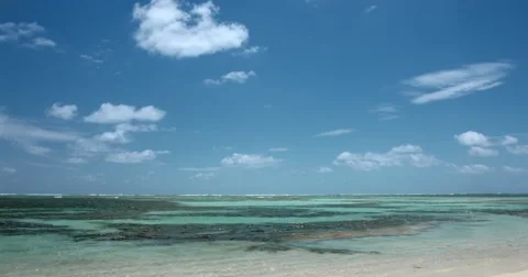 Ocean shore. Stock Footage 51746581