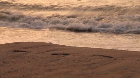 Ocean shore footprints Stock Footage 78008966