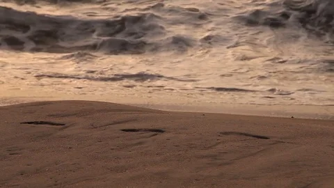 Ocean shore footprints Stock Footage 78009370