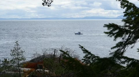 Ocean Shore - Forest Tree &amp; Motor Boat - 03 Stock Footage 52803023