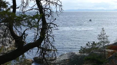 Ocean Shore - Forest Tree &amp; Motor Boat - 04 Stock Footage 52803696