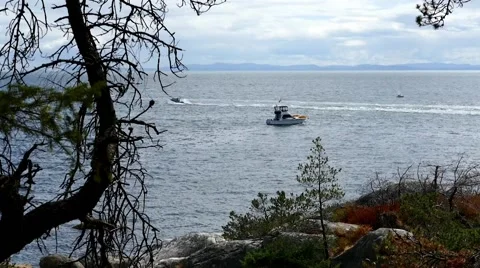 Ocean Shore - Forest Tree &amp; Motor Boat - 05 Stock Footage 52805167
