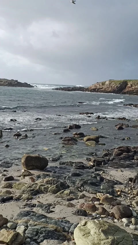 Ocean shore at low tide in stormy weather Stock Footage 236644084