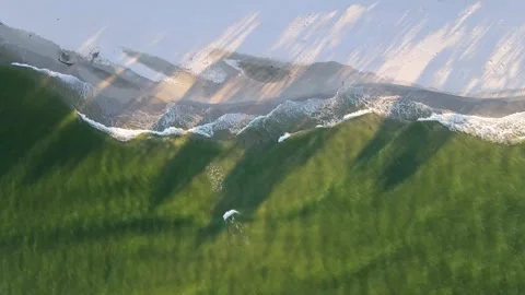 The ocean shore with the shadow of palm trees on the sand and blue-green waves Video stock 202187288