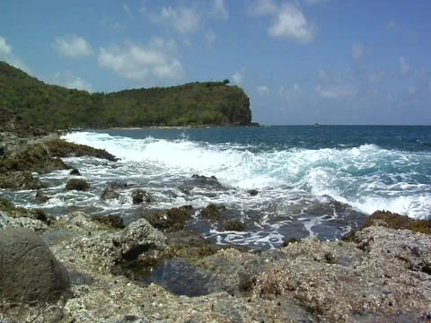 Ocean shoreline ground level view Stock Footage 708897