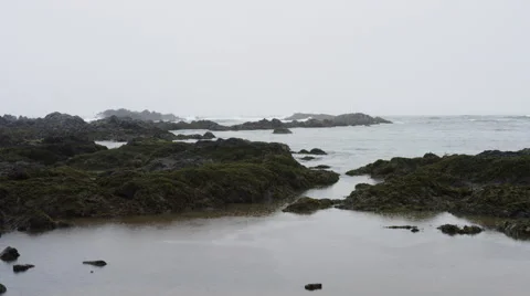 Ocean Shoreline - Medium Rain - 4k Video stock 51355583