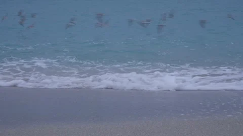 Ocean Shoreline Slow Mo Stock Footage 260843265