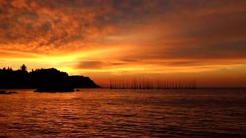 Ocean Shoreline Sunrise Lapping Waves Fishing Weir Mood Stock Footage 344601879