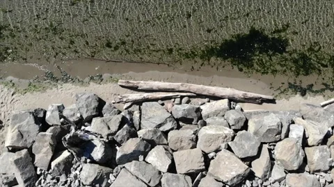 Ocean shores Stockbeeldmateriaal 208785870