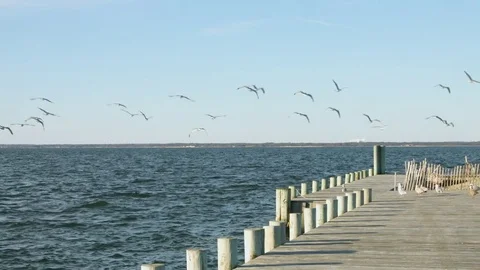 Ocean Side Boardwalk Stock-Footage 75176674