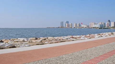 Ocean Side Jog Stock Footage 118547466