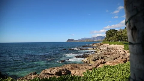 Ocean side on Oahu Stock Footage 93593560
