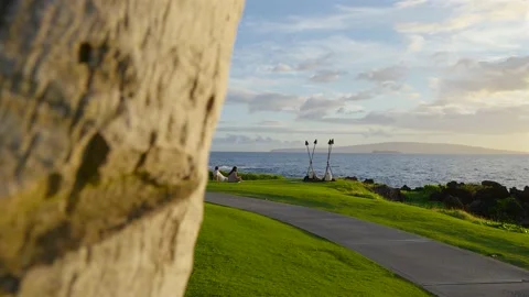 Ocean side viewpoint panning across a palm tree. Slow motion transition Stock Footage 162581044