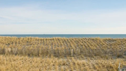 Ocean skyline with grass Stock Footage 75175556
