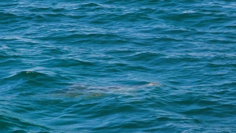 Ocean in slow motion Stock Footage 89793380