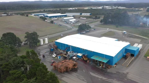 Ocean Spray Cranberry Fruit Processing factory. Truck dumps cranberries on Stock Footage 220712518