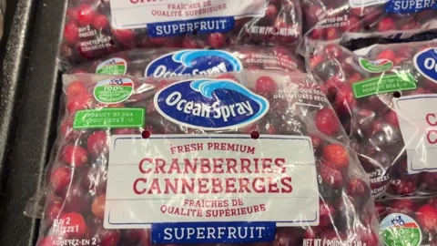 Ocean Spray fresh cranberries Stock Footage 296785136