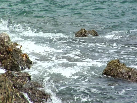 Ocean spray on shore Stock Footage 709015