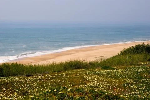 Ocean in spring Stock Photos