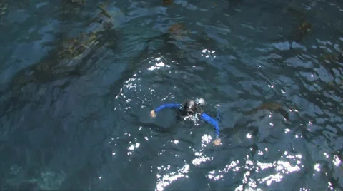 Ocean squba Diver 스톡 동영상 38317305