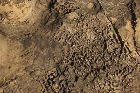 Ocean Stone Texture Natural Stock Photos