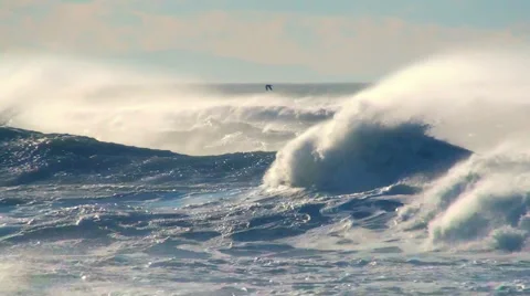 Ocean storm big waves sea birds spray with seabirds in sunset sky Stock Footage 43307661