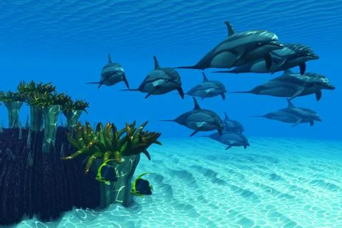 Ocean striped dolphins Stock Illustration