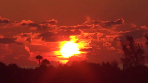 Ocean sunrise with clouds, trees and light reflection in water  florida Vidéo 52904816